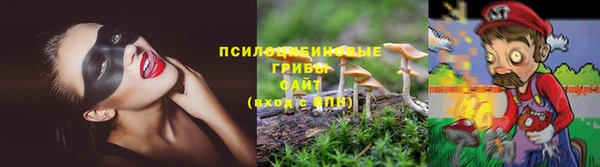 кокс Волосово