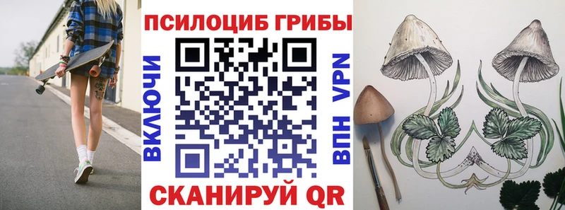 Галлюциногенные грибы MAGIC MUSHROOMS  что такое   Остров 